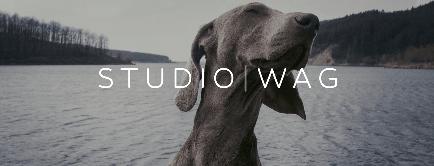 StudioWag